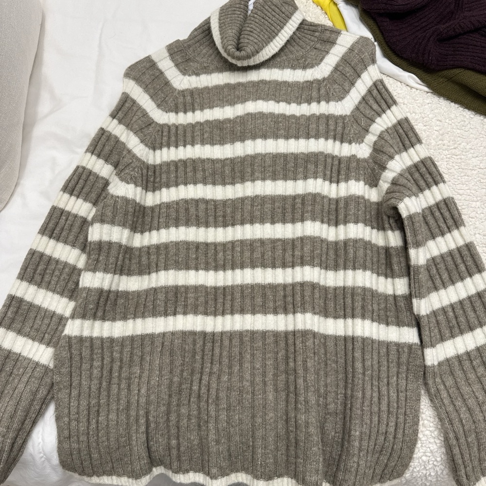 Stripped Turtleneck Sweater